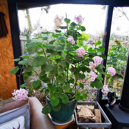 Cotswold Garden Chalet In Stow-On-The-Wold Ngoại thất bức ảnh