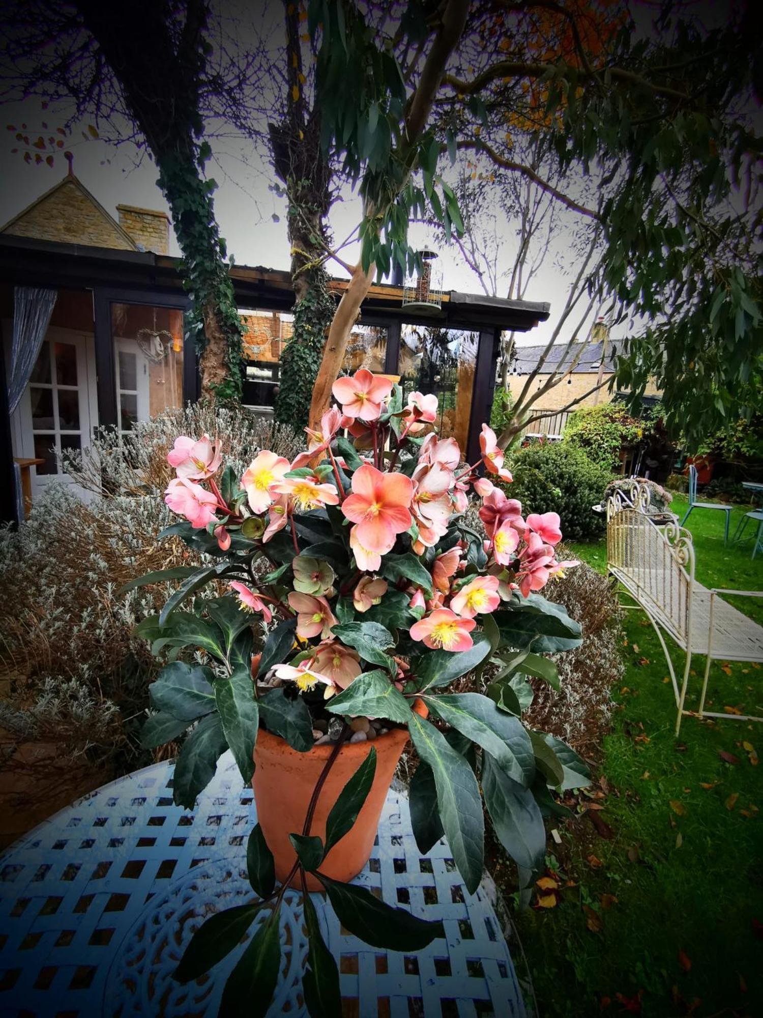 Cotswold Garden Chalet In Stow-On-The-Wold Ngoại thất bức ảnh